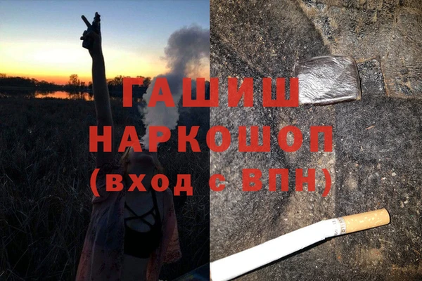 PSILOCYBIN Новокубанск