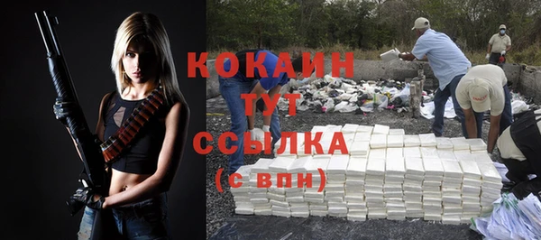 молекула духа Новодвинск