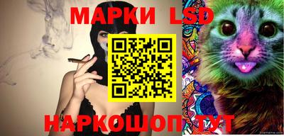 индика Усть-Джегута