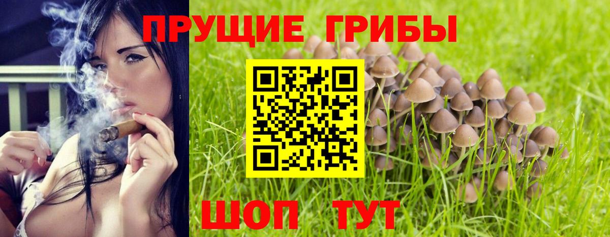 Галлюциногенные грибы Psilocybine cubensis  Вход с VPN  Североуральск 